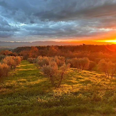 Eri Tra Gli Ulivi Apartamento *