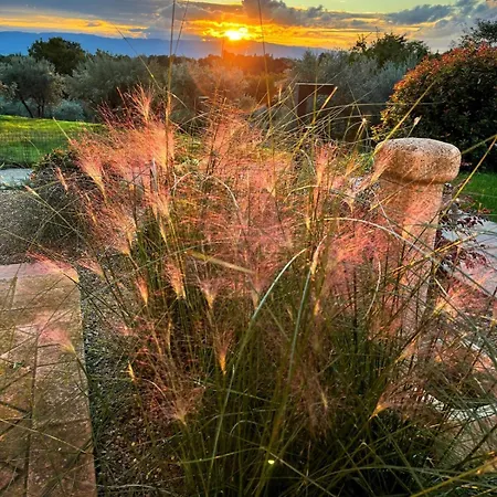 Eri Tra Gli Ulivi Apartamento *