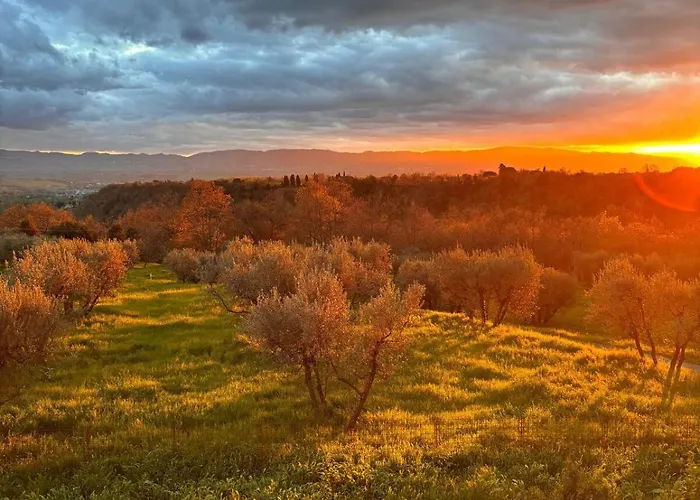Eri Tra Gli Ulivi Apartamento *